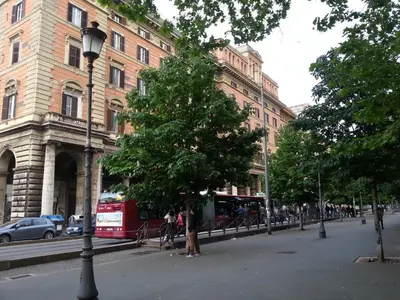 a tree in the middle of a street with buildings at Bed and Breakfast Piazza Vittorio87 in Rome