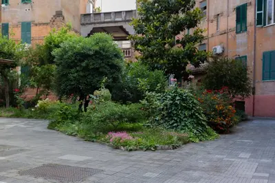 a garden of flowers and plants in a courtyard at Apartment in front of Vatican Museums and Vatican area - myDen in Rome in Rome