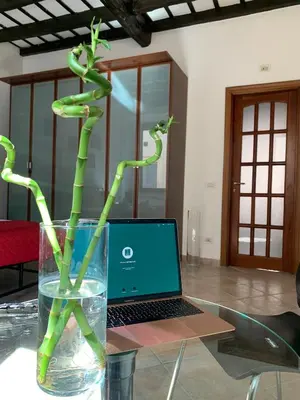 a glass vase with a plant in front of a laptop at Mc - Trastevere in Rome