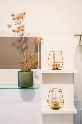 two shelves with lights and a potted plant on them at Colosseum Loft - ZENO 12 in Rome