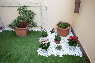 a group of potted plants sitting on top of grass at Belvedere pigneto in Rome