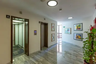a hallway of a building with a door and a plant at Laura's Rooms a due passi dal Vaticano - RIONI DI ROMA in Rome