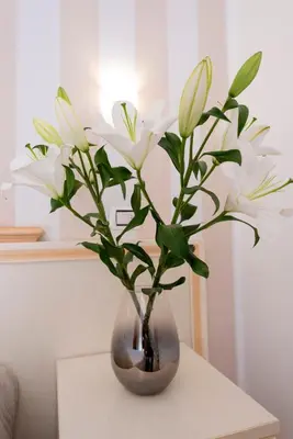 a vase with white flowers in it on a table at La Suite di San Pietro in Rome