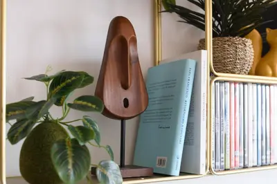 a book shelf with books and a plant at Rooftop Porretta Città Giardino Check-in From 3 Pm To 10 Pm in Rome