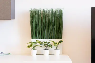 a row of potted plants on a shelf with a green wall at Colosseo Modern by Rental in Rome in Rome