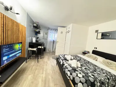 a bedroom with a bed and a flat screen tv at SorinaHome Vatican Studio in Rome