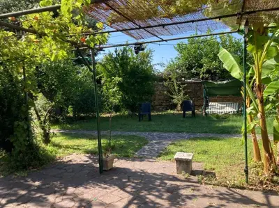 a view of a garden with a pergola at Green house di Alberto in Rome