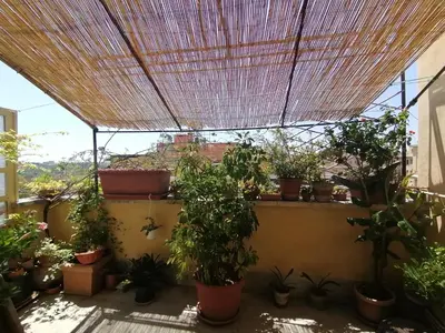 a bunch of potted plants on a balcony with a roof at Claudia B&B in Rome