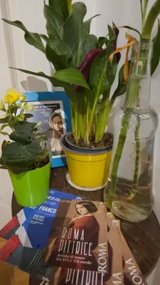 a table with a book and a plant in a vase at Ulysses in Rome in Rome