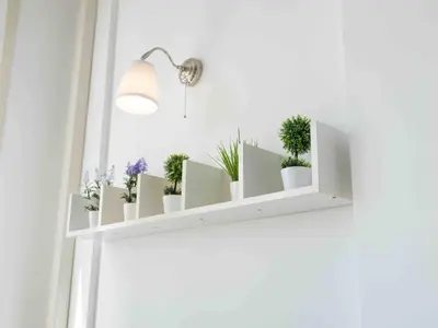 a white shelf with potted plants on it at Window on Rome in Rome