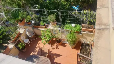 an overhead view of a garden with potted plants at 2MG: appartamento con terrazzo nel cuore di Roma! in Rome