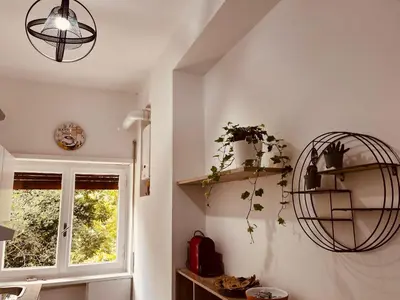a kitchen with a window and shelves with plants at Suite San Damaso in Rome