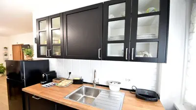 a kitchen with black cabinets and a sink and a refrigerator at A due passi da Trastevere in Rome