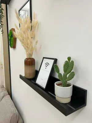 a black shelf with a cactus and a picture on it at SIRI VATICAN LOFT - Design House Rome in Rome