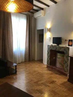 a living room with a fireplace and a television at Casa Magiuli' Navona in Rome