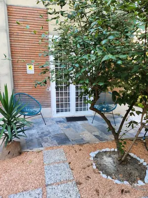 two chairs and a tree in front of a door at CHEZ NOUS in Rome