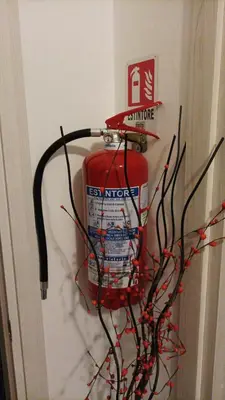a fire hydrant hanging on a wall with branches at Lovers' Nest - Spa Apartment in Rome
