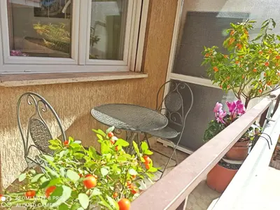 a table and chairs on a balcony with plants at Have a nice stay in Rome in Rome