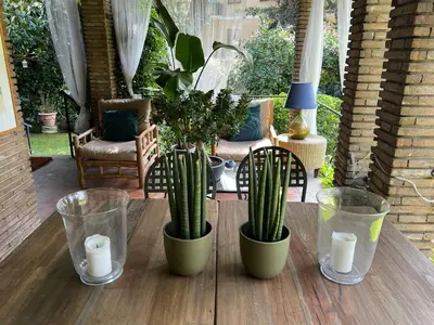 a table with two potted plants and two candles at CHALET MARMONT ROME in Rome