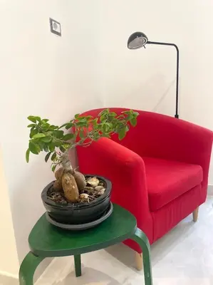 a red couch with a potted plant on a table at Tiburtina Luxury Apartment in Rome