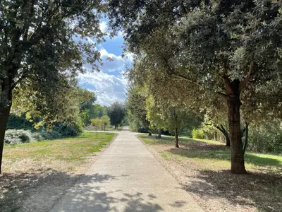 a walking path in a park with trees at Limacino in Rome