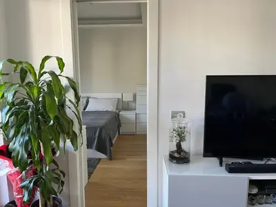 a living room with a television and a potted plant at Moderno bilocale con terrazzo in Rome