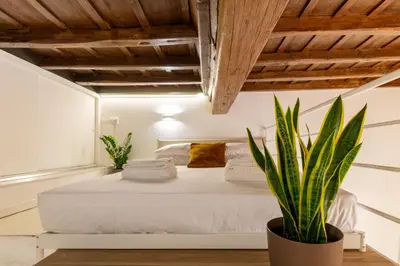 a bedroom with a white bed and a potted plant at Trevi Apartment in Rome