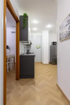 a kitchen with a sink and a counter top at Appartamento Barsanti in Rome
