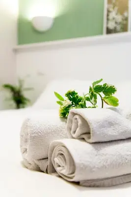 a pile of towels with a plant on a bathroom counter at B&B Casetta Roma in Rome