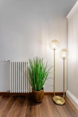 two lamps and a plant in a room with a radiator at Suite Vaticano in Rome