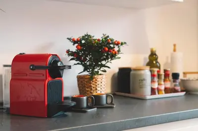 a red toaster sitting on a kitchen counter with a plant at Vaticano/Trastevere Floreal Suite in Rome
