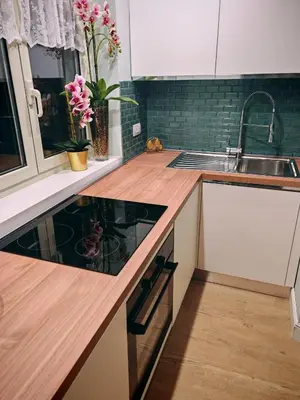 a kitchen with a sink and a counter top at Domus Aldini in Rome