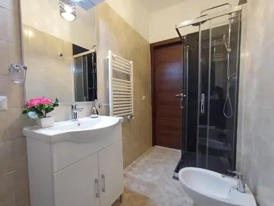 a bathroom with a sink and a shower at La Dimora di Magi in Rome