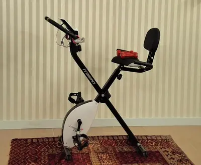 a stand up exercise machine in a room at la Borghese in Rome