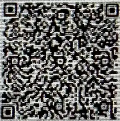 a black and white picture of a rug with a pattern at Roma Battistini 66 Apartment, near Vatican City in Rome