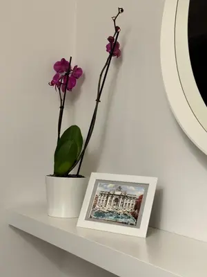 a white shelf with a picture and a plant on it at Trithome Suite Boutique Barberini in Rome