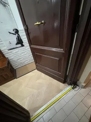 a door with a picture of a dog on the floor at A casa di Ala in Rome