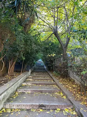 a set of stairs in a park with trees at The Vatican Jungle loft con giardino vicino al Vaticano in Rome
