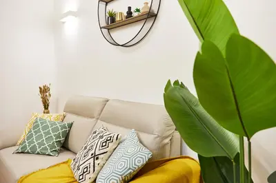 a living room with a couch with pillows and a plant at iFlat Magnificent flat near the Colosseum in Rome
