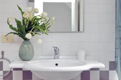 a white sink with a vase with white flowers in it at Cimarra Apartment in Rome