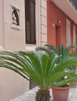 a couple of palm trees in front of a building at Grazioso appartamento ai Musei Vaticani in Rome