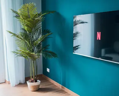 a palm tree in a pot next to a blue wall at Basilica San Paolo - Home Cinema e Vasca Idromassaggio in Rome