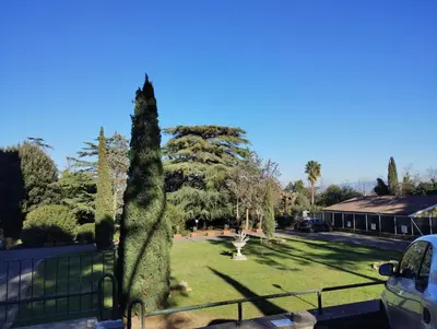 a large tree in a park with a fence at La Casa nel Parco - Stadio Olimpico, Auditorium con posto auto in Rome