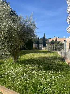 a green yard with a tree and white flowers at Mi Casa Es Tu Casa Roma in Rome