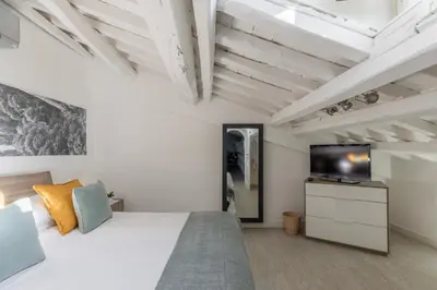 a bedroom with a bed and a flat screen tv at iFlat Historic flat in campo de fiori in Rome