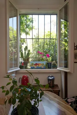 a window in a kitchen with a potted plant at FUORI dal TEMPO Roma Trastevere in Rome