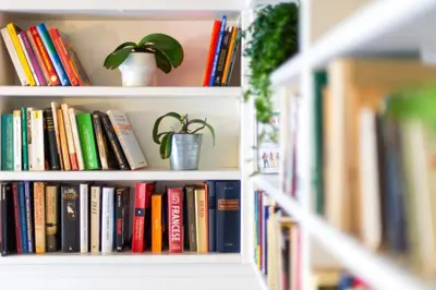 a book shelf filled with books and a potted plant at Saint Louis Penthouse, cozy little apartment next to Pantheon in Rome