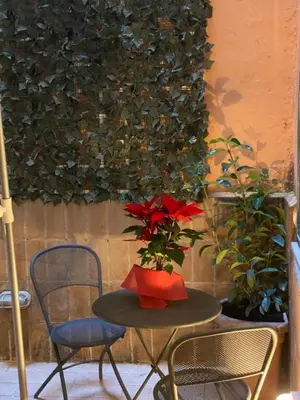 a table with a vase with a red flower on it at NAVONA DOMITIA HOME in Rome