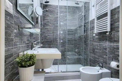 a bathroom with a shower and a sink and a toilet at Vatican's Roof in Rome