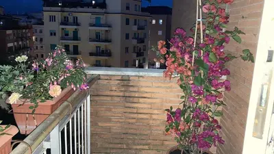 a bunch of flowers on a brick wall at Le Mille e Una Notte in Rome